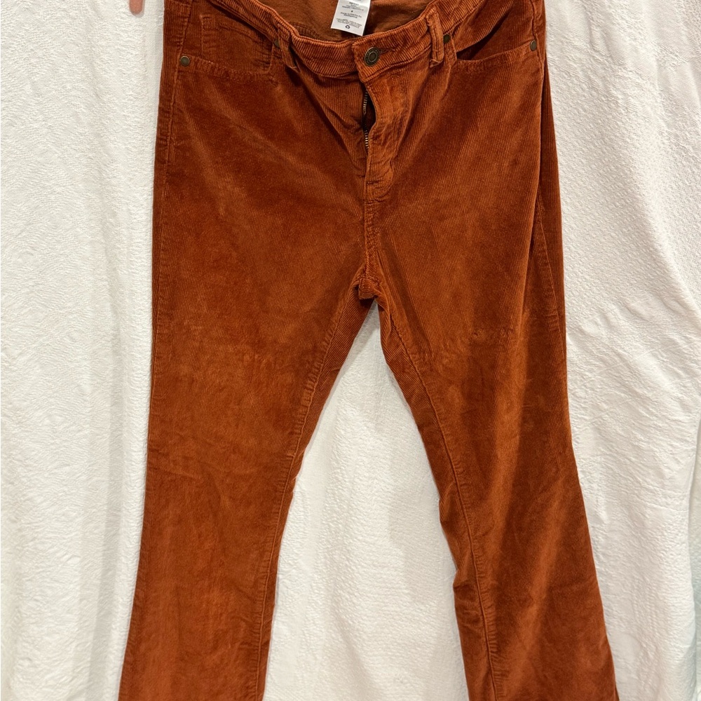 Time and Tru Burnt Orange Corduroy Pants A19